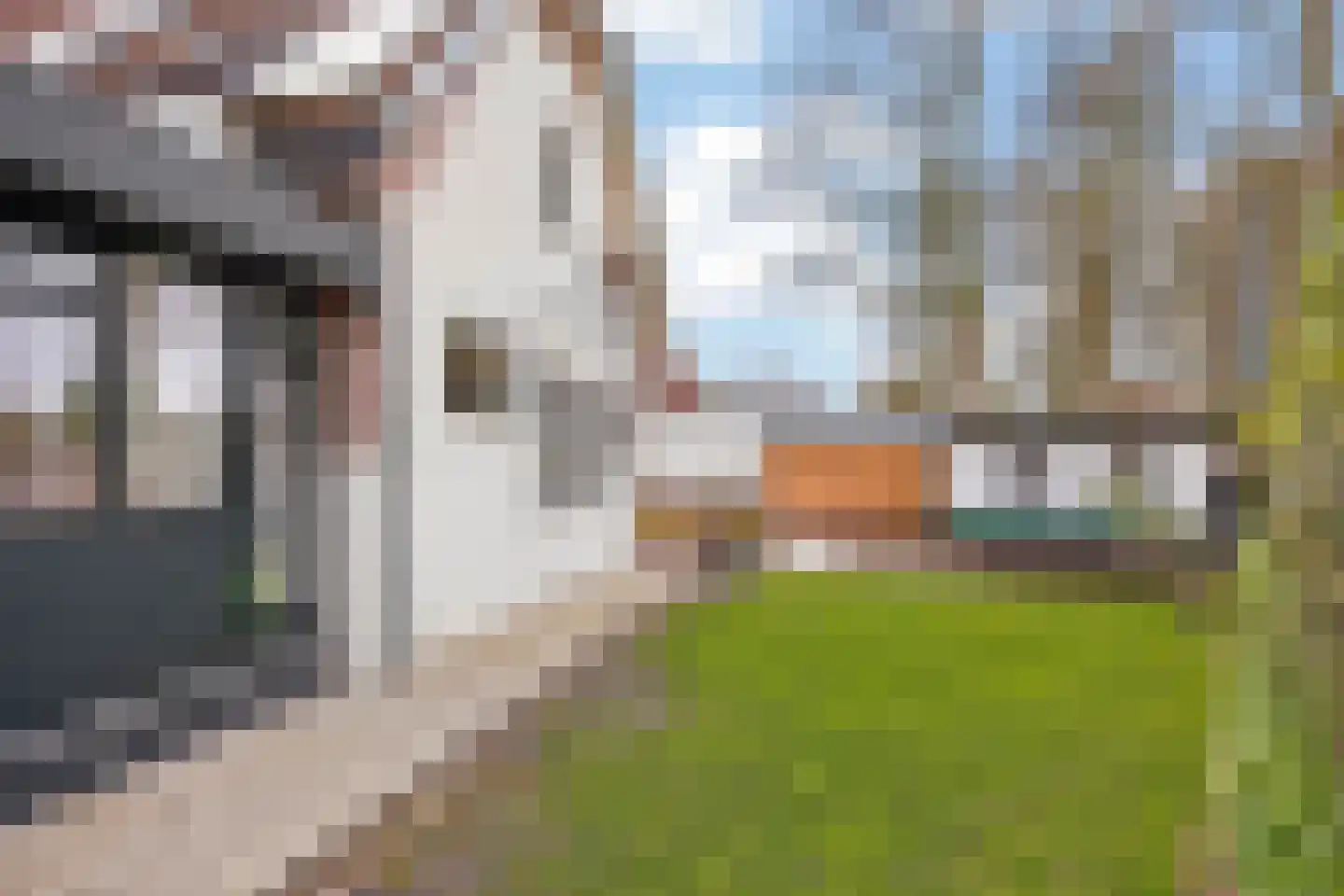 Schalkburgerstraat 23 Hengelo thumbnail 51