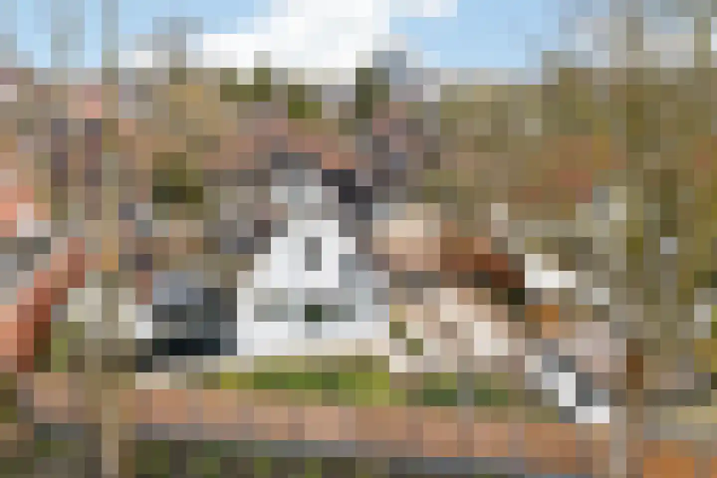 Schalkburgerstraat 23 Hengelo thumbnail 54