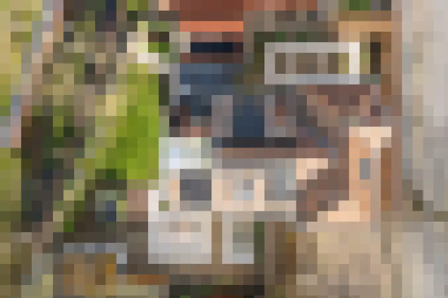 Schalkburgerstraat 23 Hengelo thumbnail 55