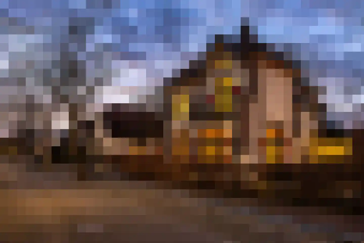 Schalkburgerstraat 23 Hengelo thumbnail 60