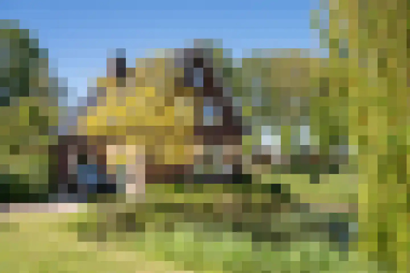 Schalker-akker 1 Barendrecht thumbnail 43