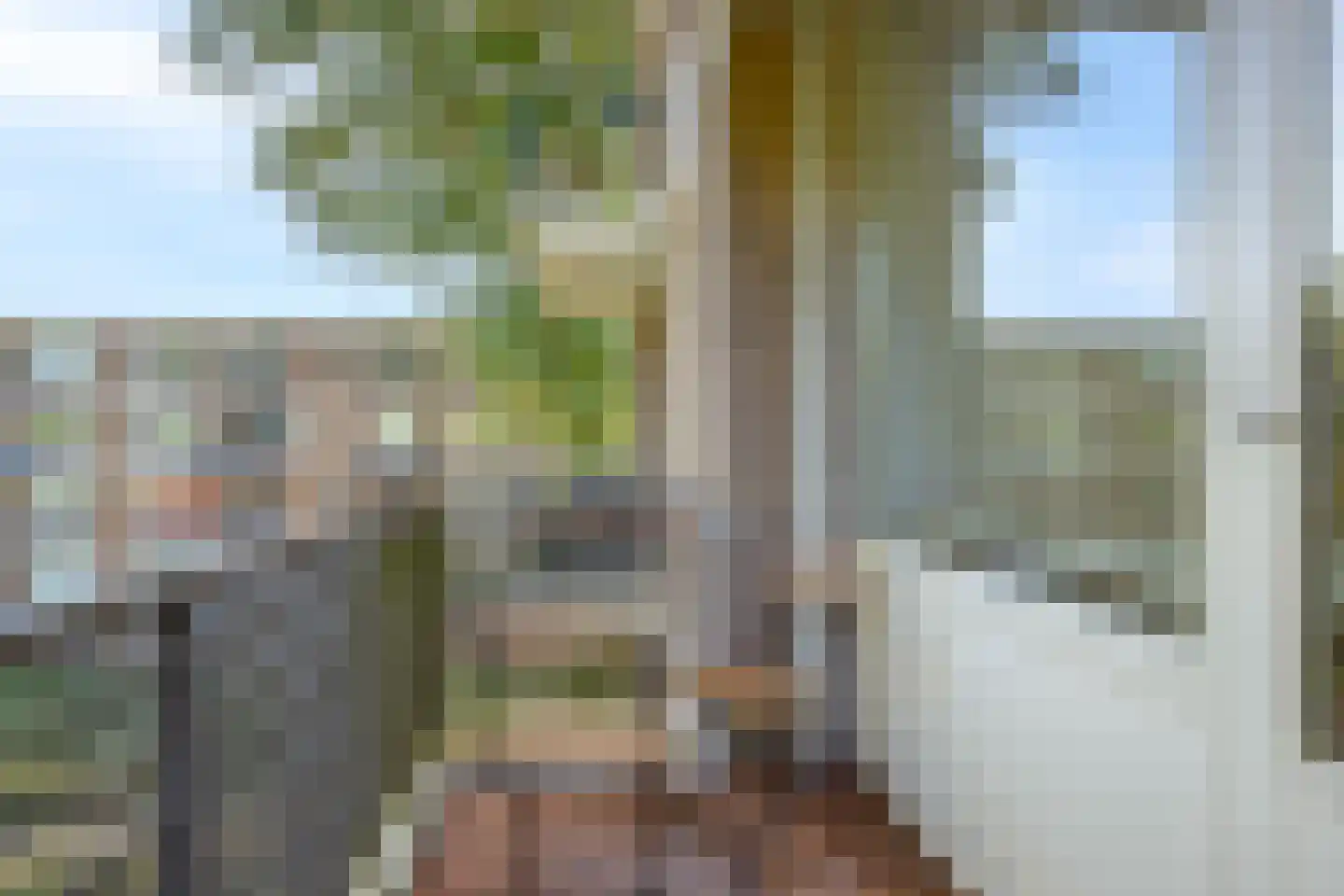 Schalkeroord 13 Rotterdam thumbnail 38