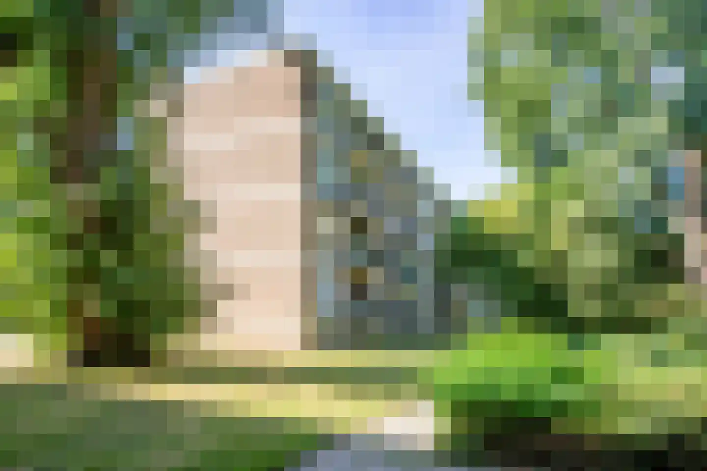 Schalkeroord 13 Rotterdam thumbnail 43
