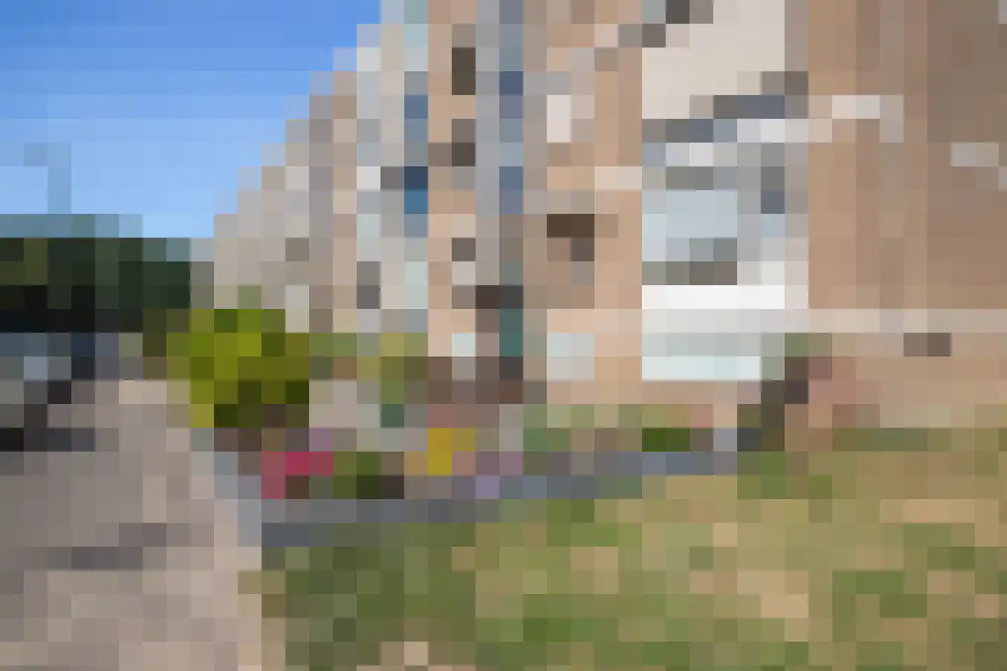Schalkeroord 13 Rotterdam thumbnail 7