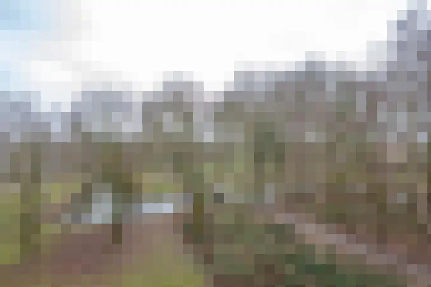 Schalkeroord 153 Rotterdam thumbnail 15