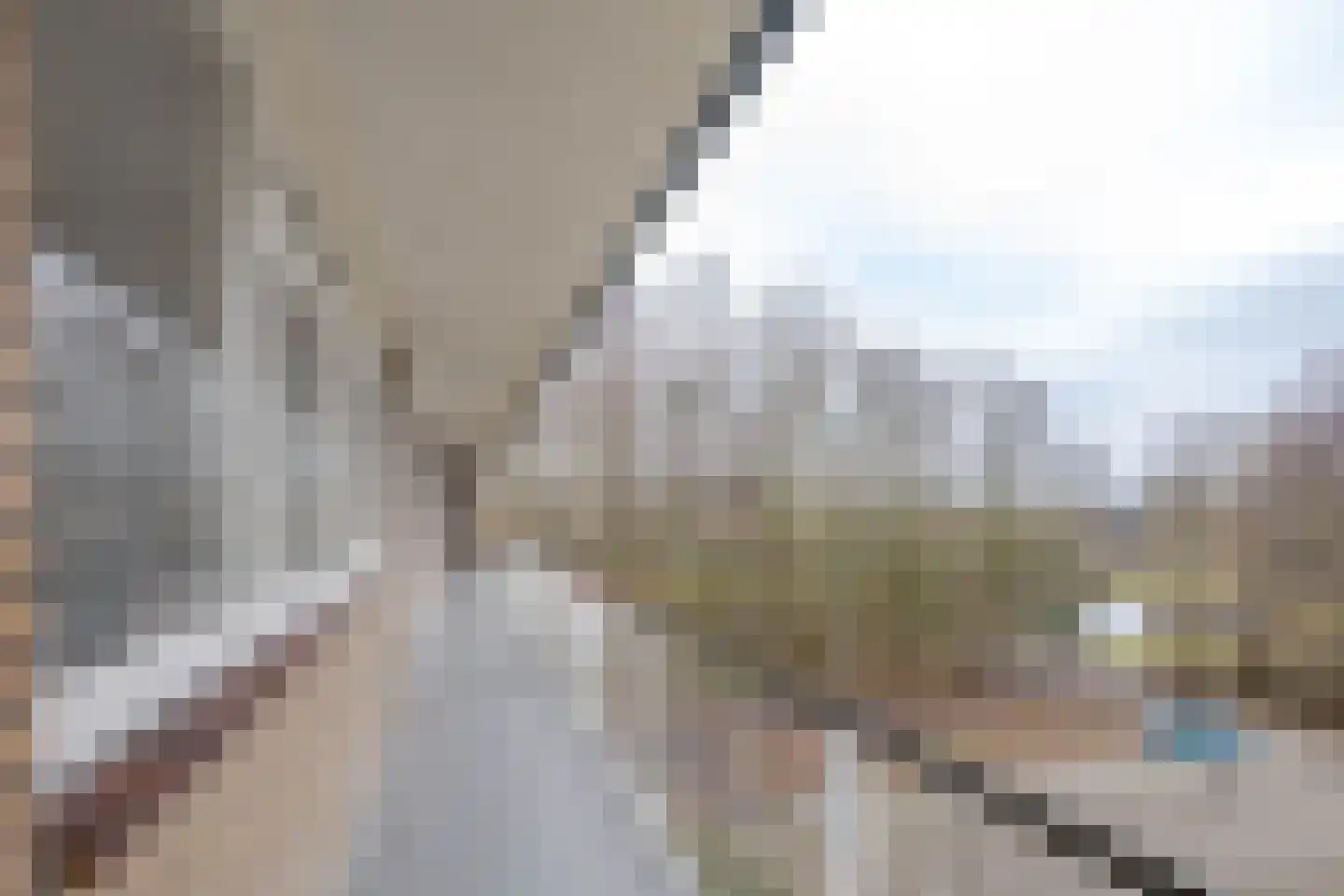 Schalkeroord 153 Rotterdam thumbnail 24