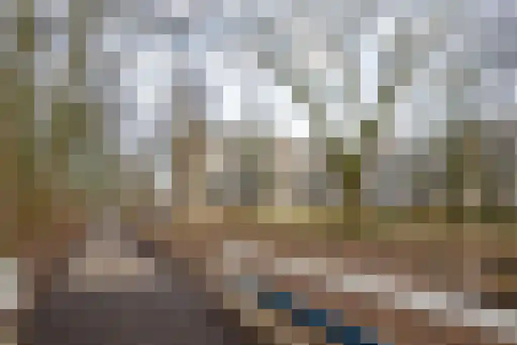 Schalkeroord 153 Rotterdam thumbnail 27