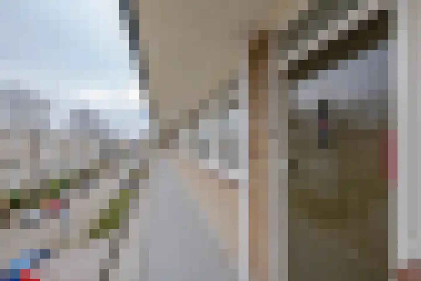 Schalkeroord 153 Rotterdam thumbnail 8