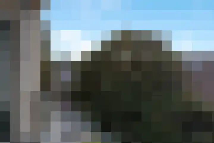 Schalkeroord 16 Rotterdam thumbnail 19