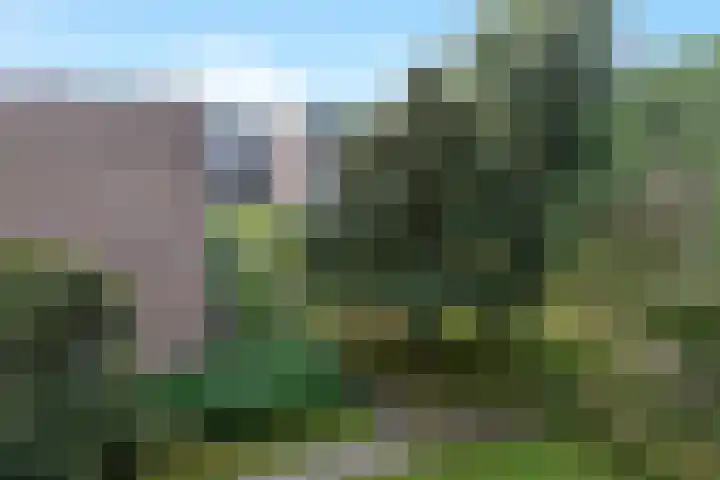 Schalkeroord 16 Rotterdam thumbnail 22