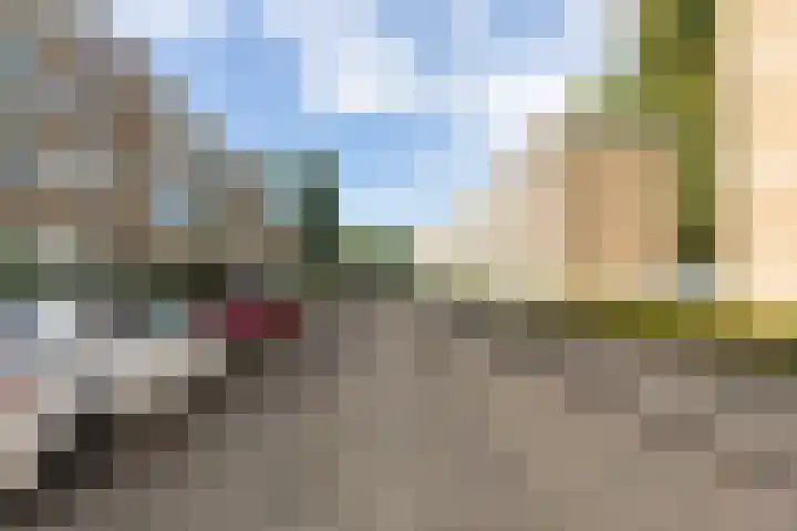 Schalkeroord 16 Rotterdam thumbnail 23
