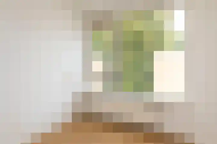 Schalkeroord 16 Rotterdam thumbnail 4