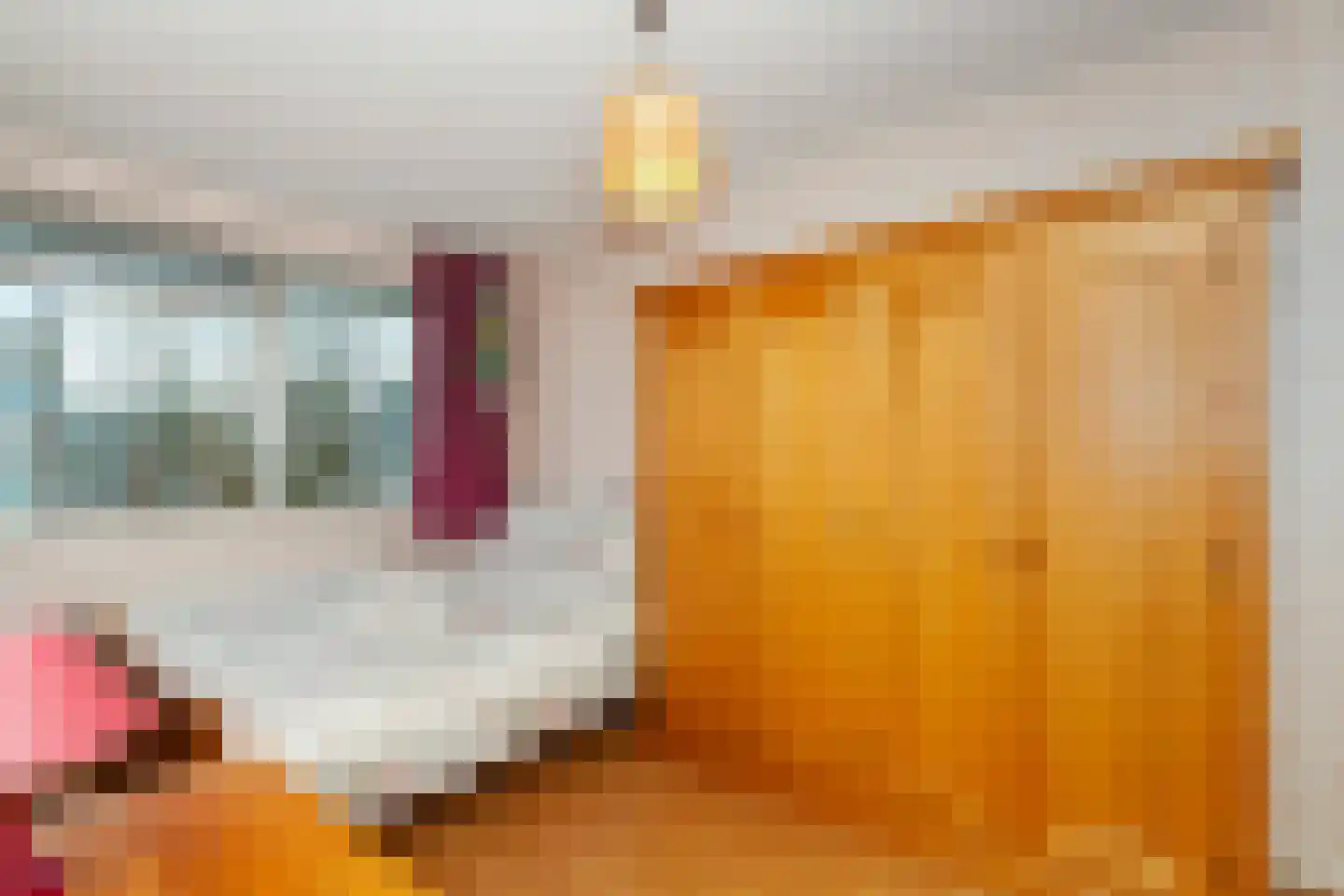 Schalkeroord 191 Rotterdam thumbnail 18