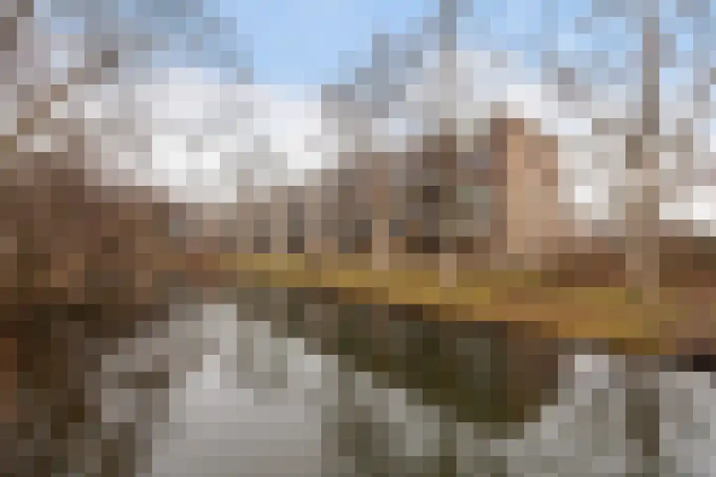 Schalkeroord 191 Rotterdam thumbnail 25