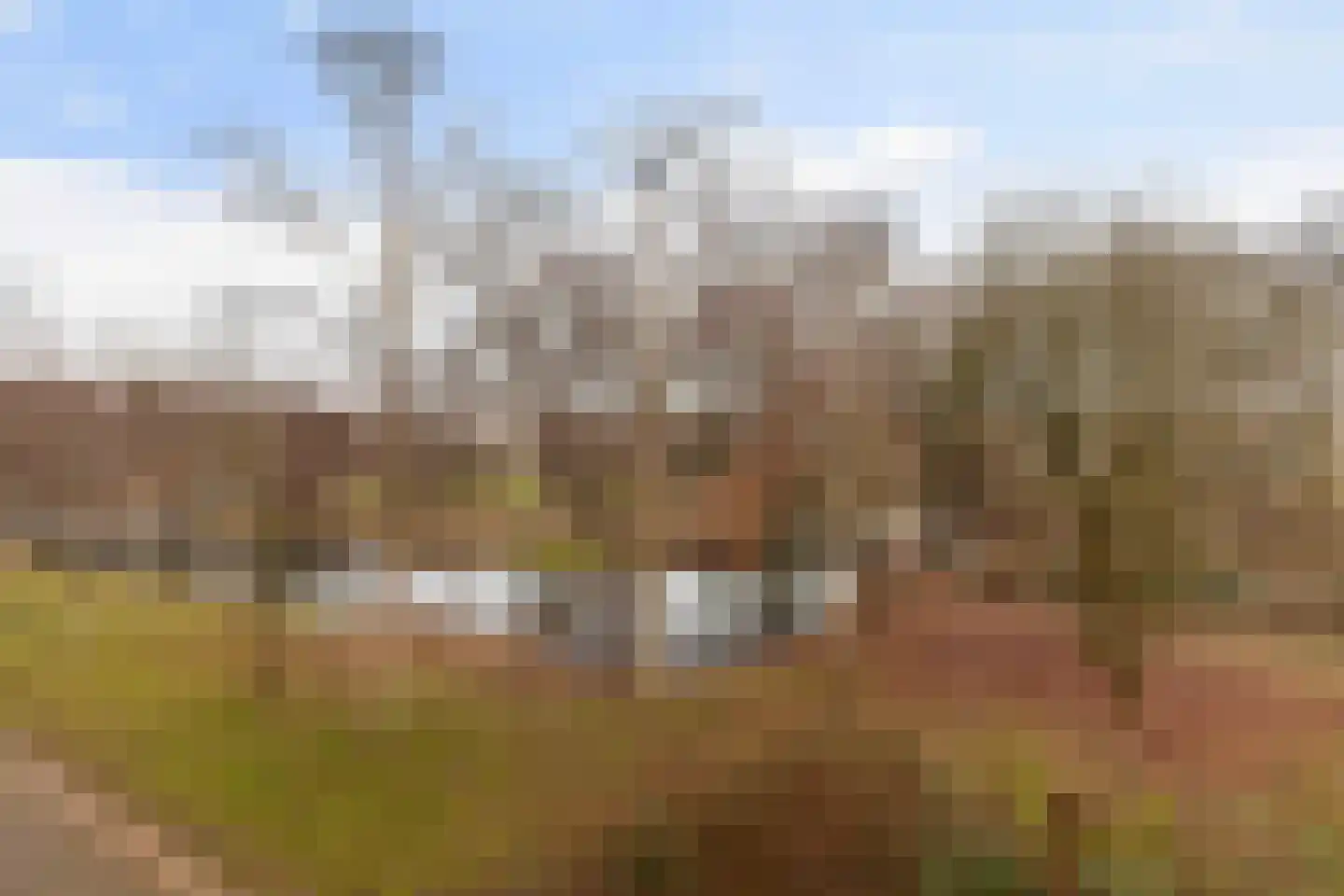 Schalkeroord 191 Rotterdam thumbnail 27