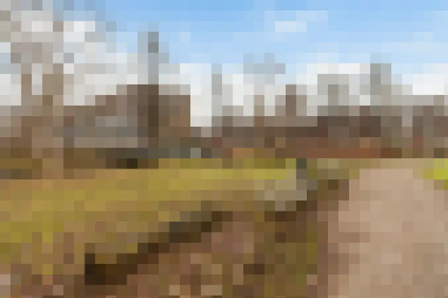 Schalkeroord 191 Rotterdam thumbnail 28