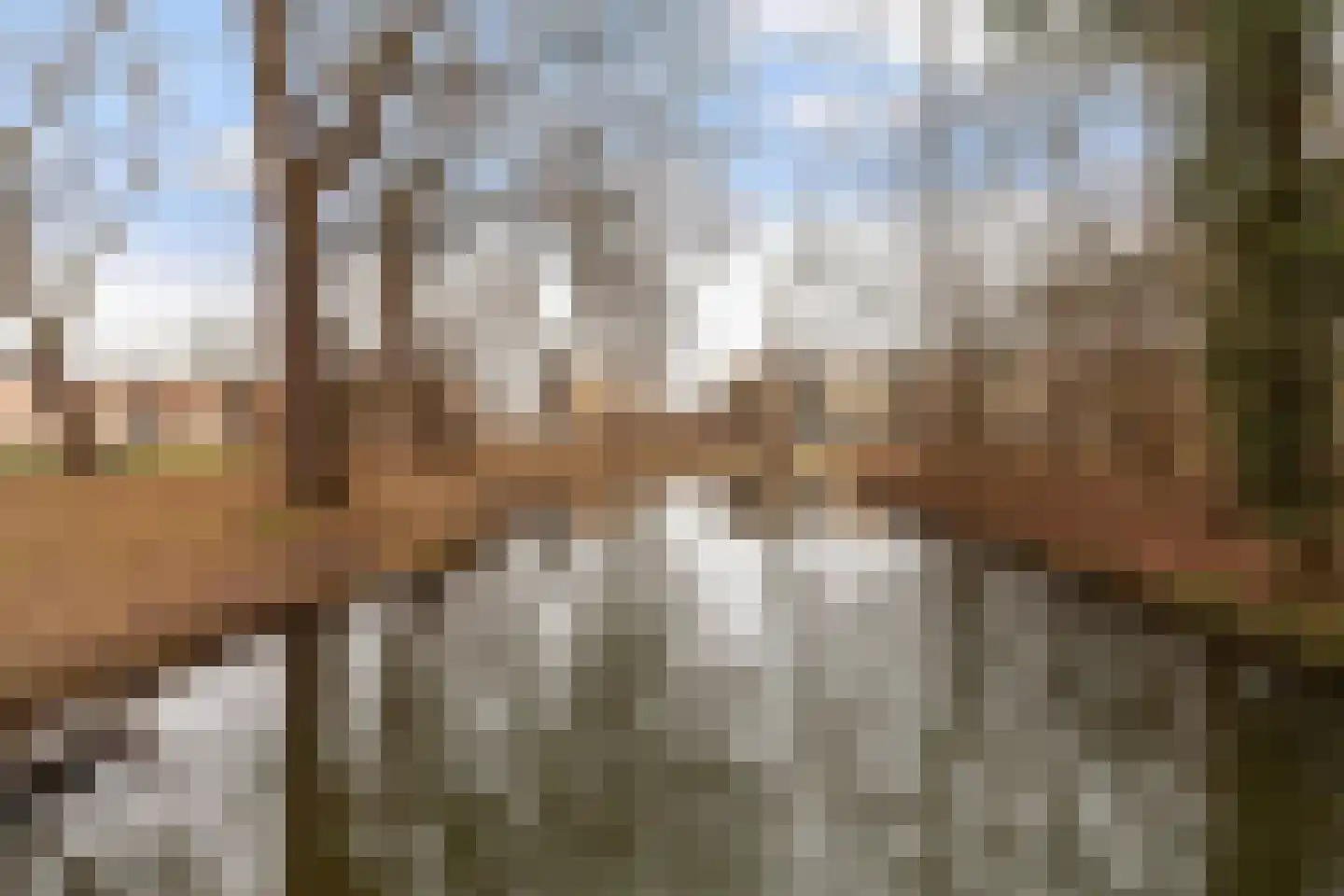 Schalkeroord 191 Rotterdam thumbnail 29