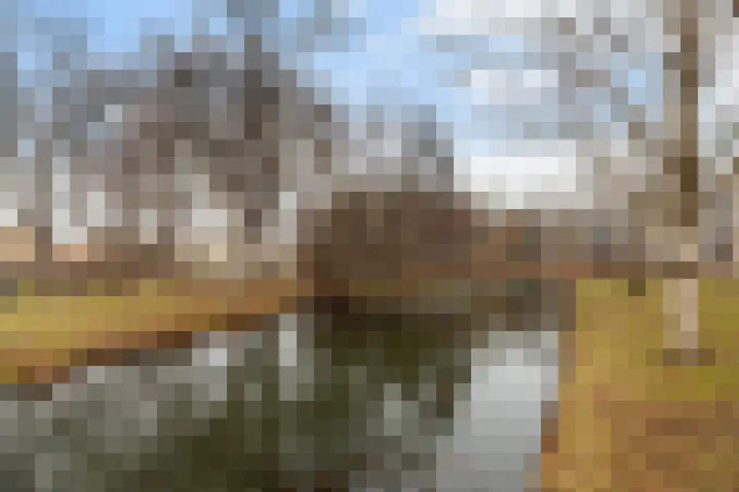 Schalkeroord 191 Rotterdam thumbnail 30