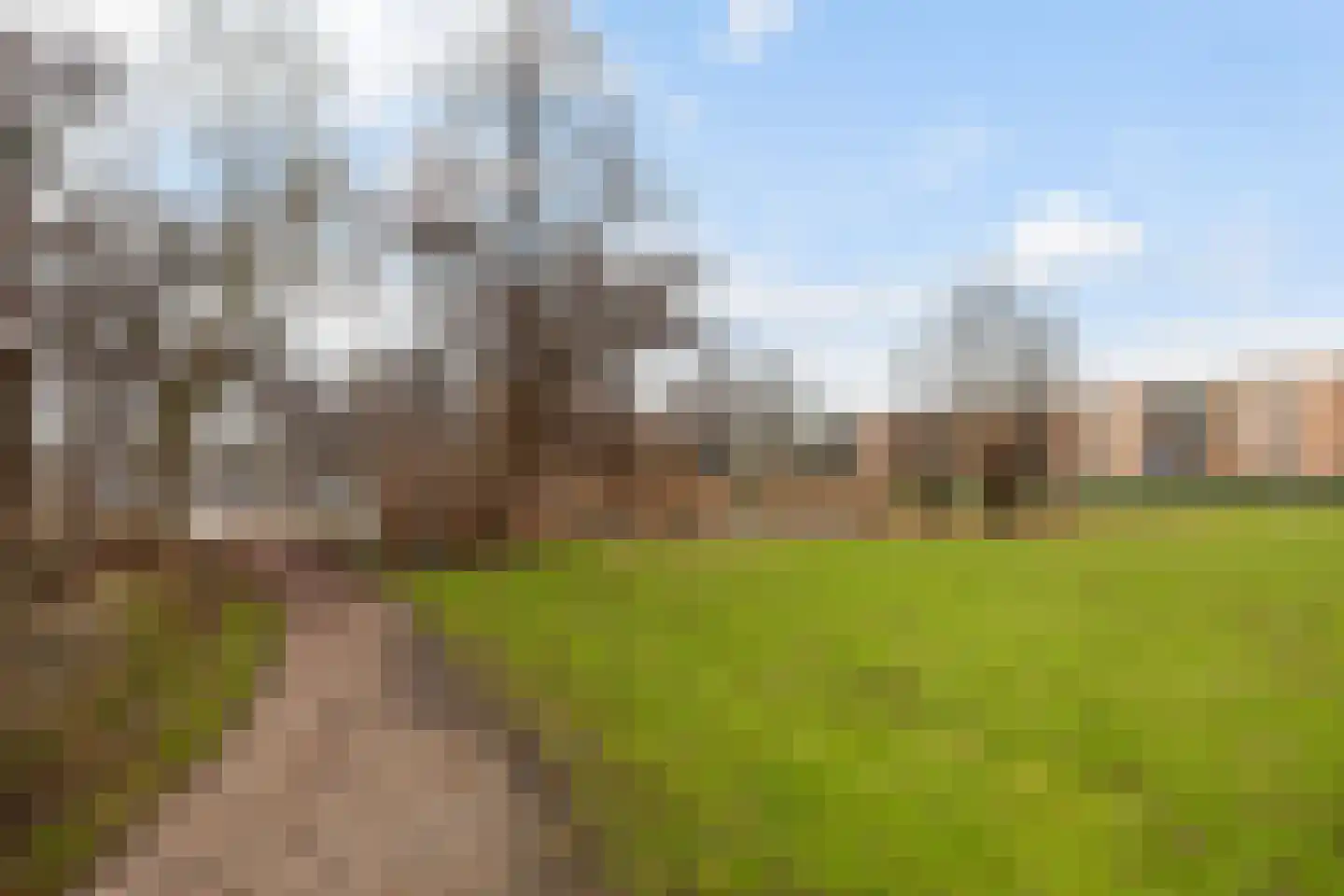 Schalkeroord 191 Rotterdam thumbnail 31