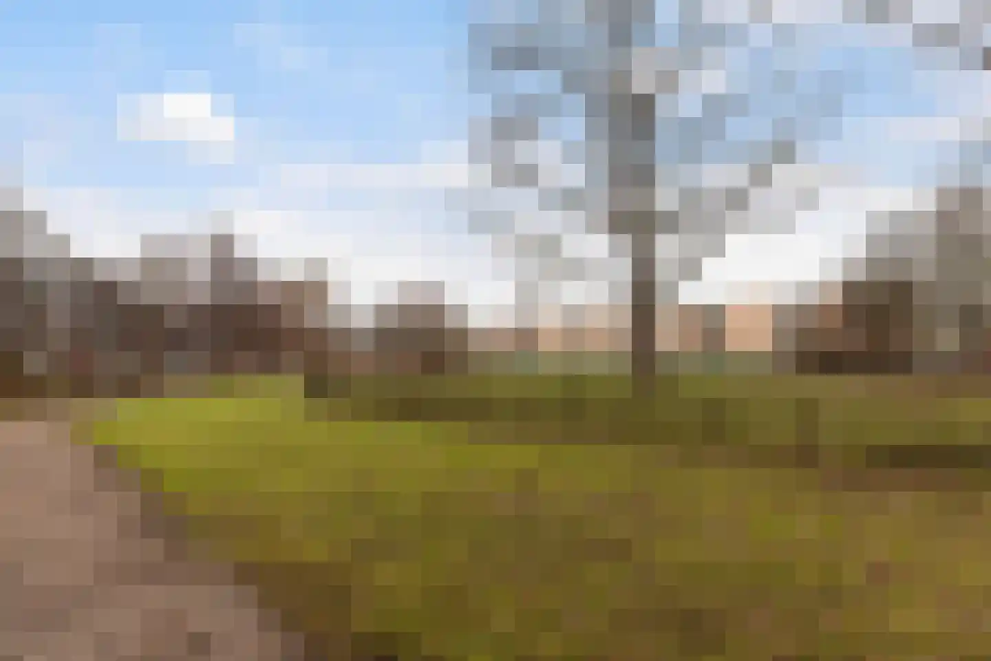 Schalkeroord 191 Rotterdam thumbnail 32