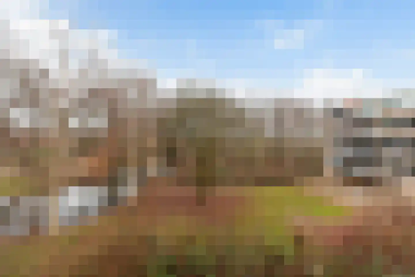 Schalkeroord 191 Rotterdam thumbnail 33