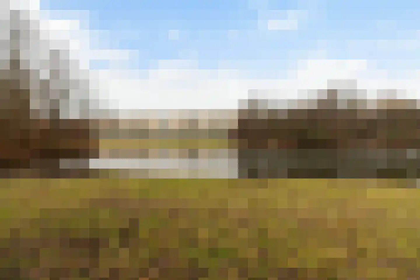 Schalkeroord 191 Rotterdam thumbnail 34