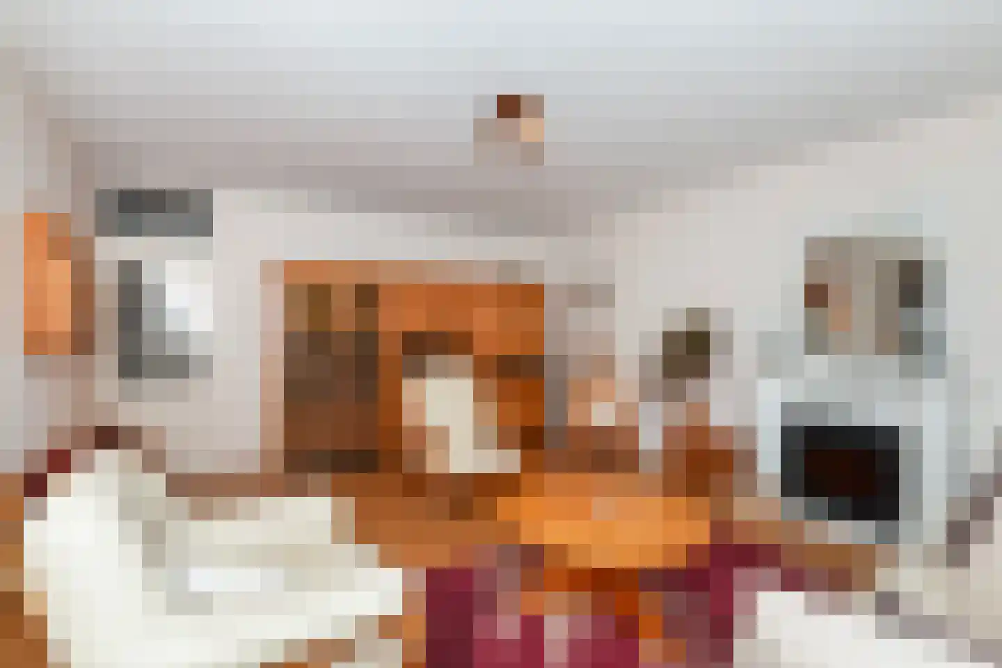Schalkeroord 191 Rotterdam thumbnail 8