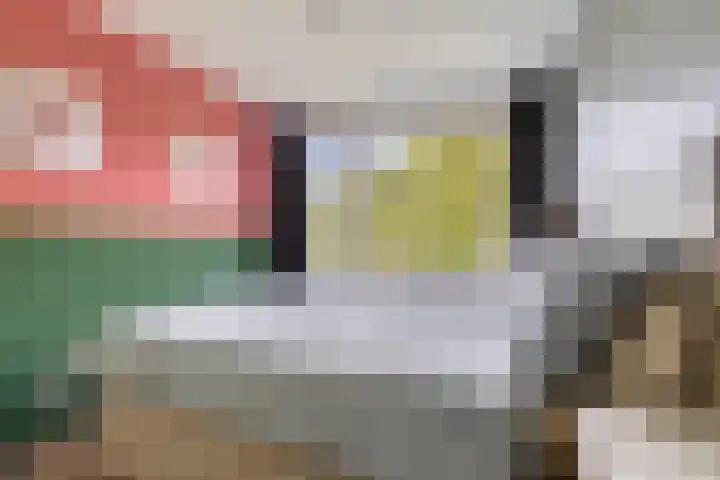 Schalkeroord 237 Rotterdam thumbnail 11