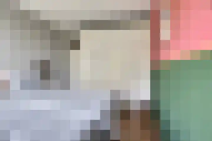 Schalkeroord 237 Rotterdam thumbnail 18