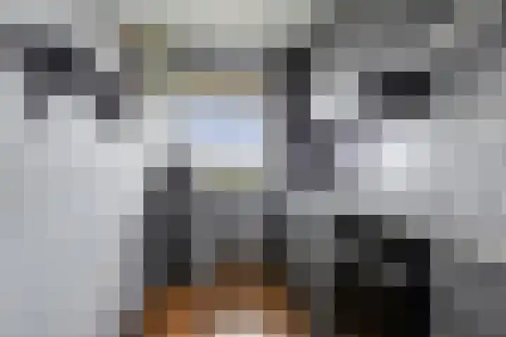 Schalkeroord 237 Rotterdam thumbnail 22