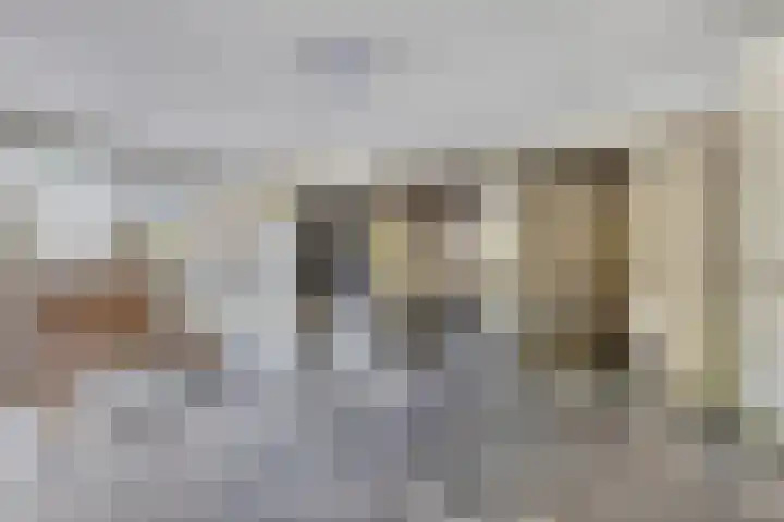 Schalkeroord 237 Rotterdam thumbnail 25
