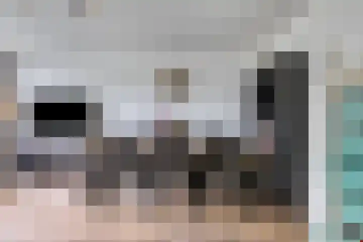 Schalkeroord 237 Rotterdam thumbnail 5