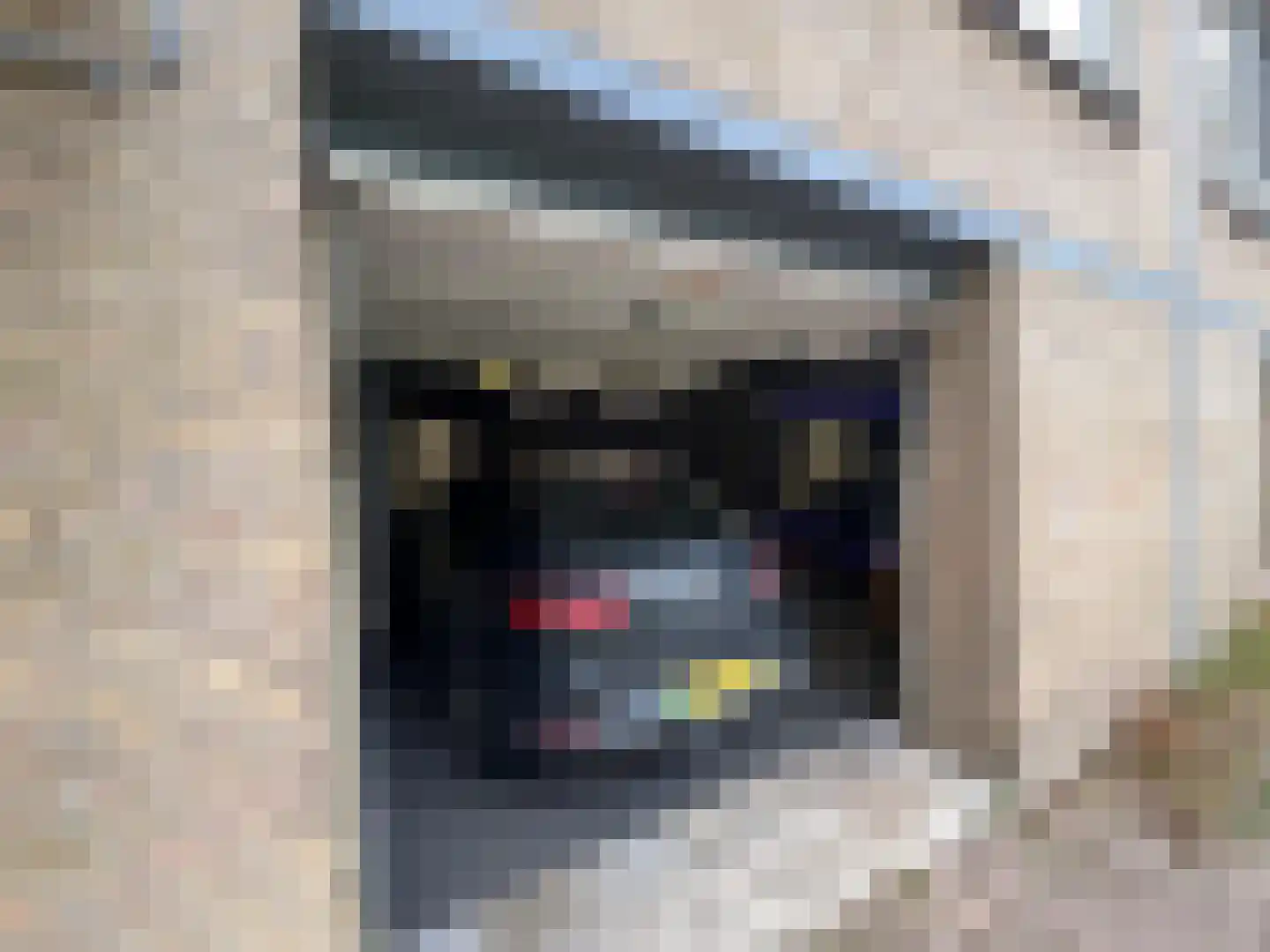 Schalkeroord 287 Rotterdam thumbnail 5