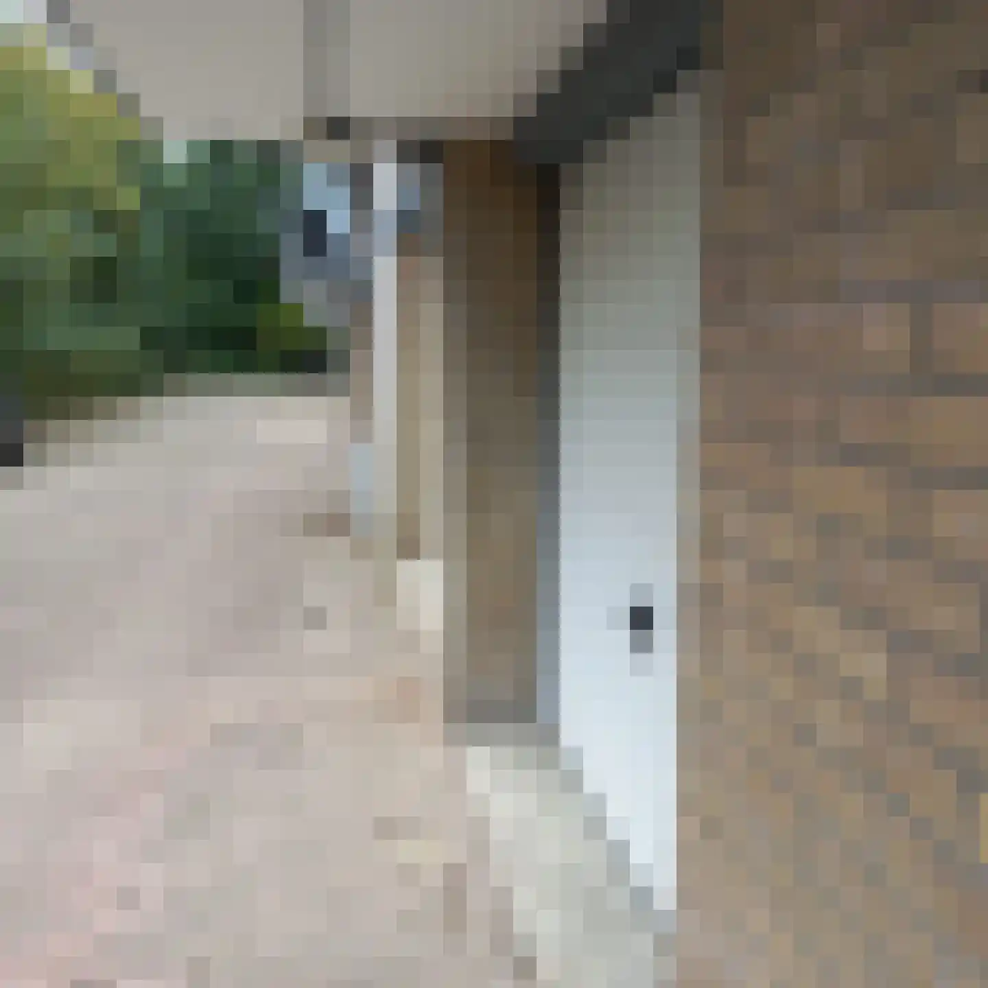Schalkeroord 309 Rotterdam thumbnail 7