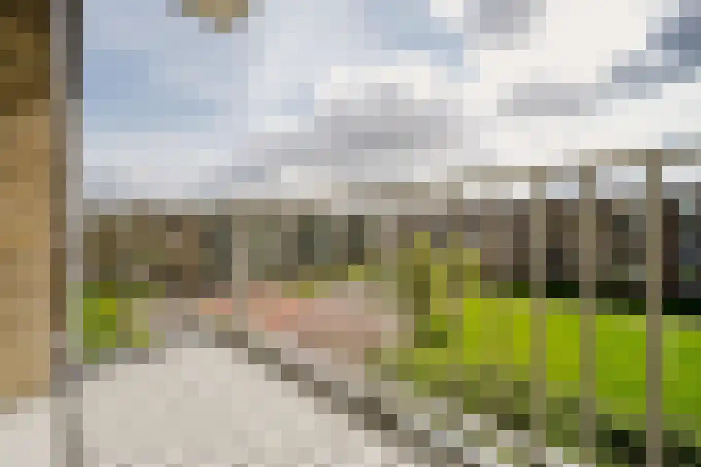 Schalkeroord 333 Rotterdam thumbnail 18