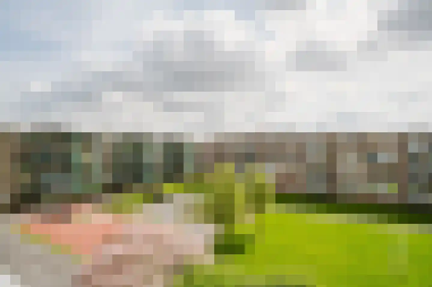 Schalkeroord 333 Rotterdam thumbnail 19