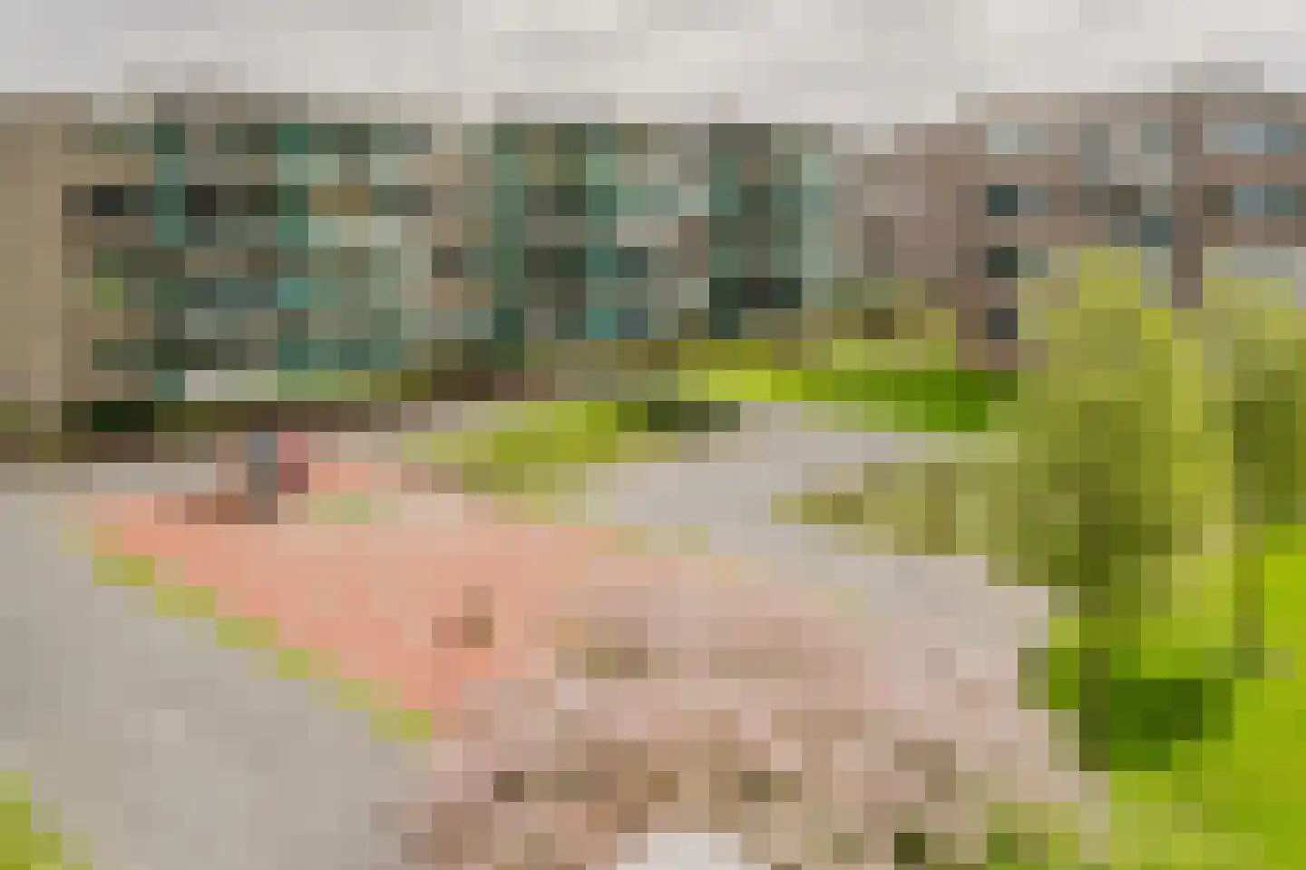 Schalkeroord 333 Rotterdam thumbnail 4