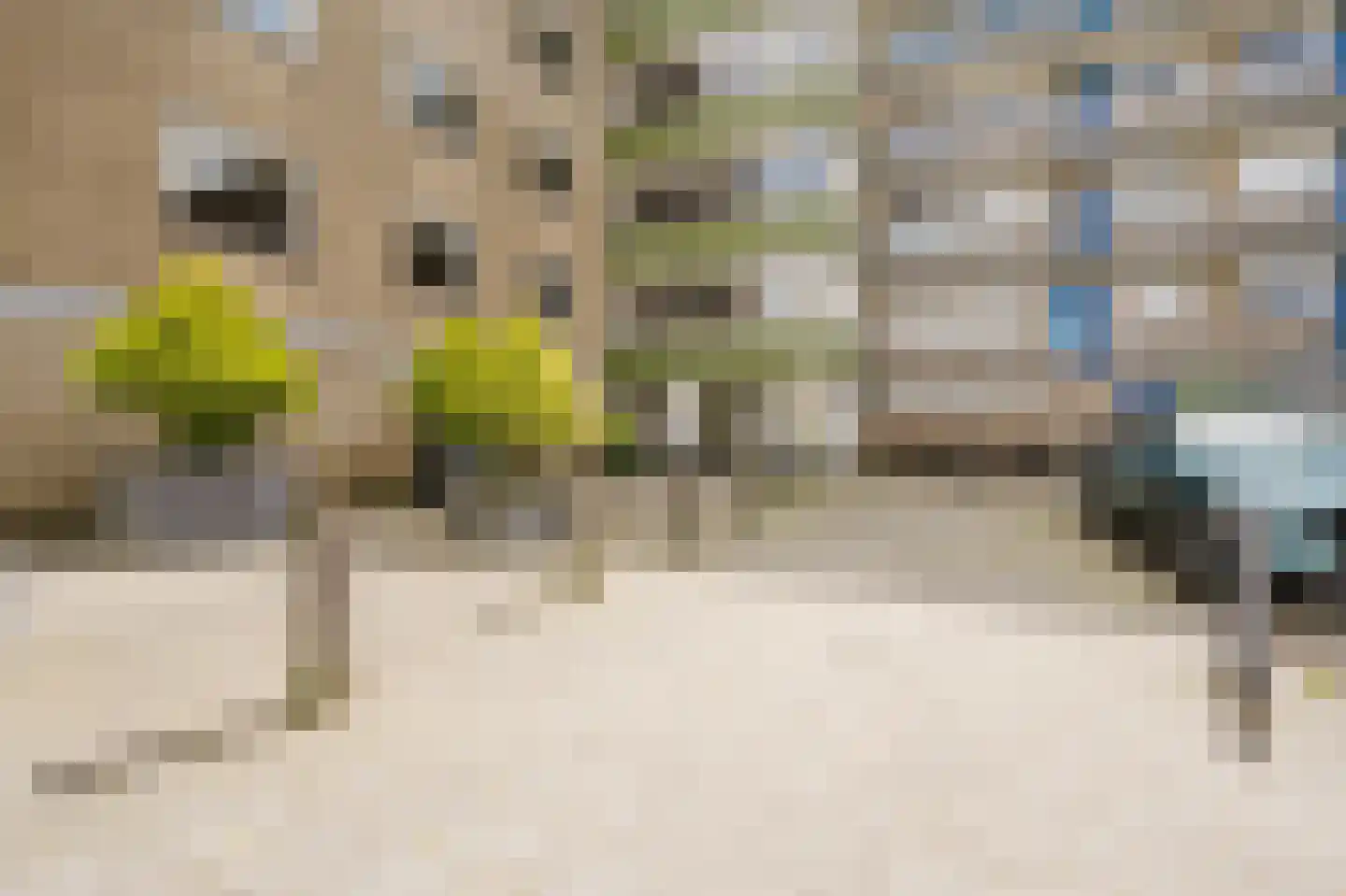 Schalkeroord 333 Rotterdam thumbnail 6