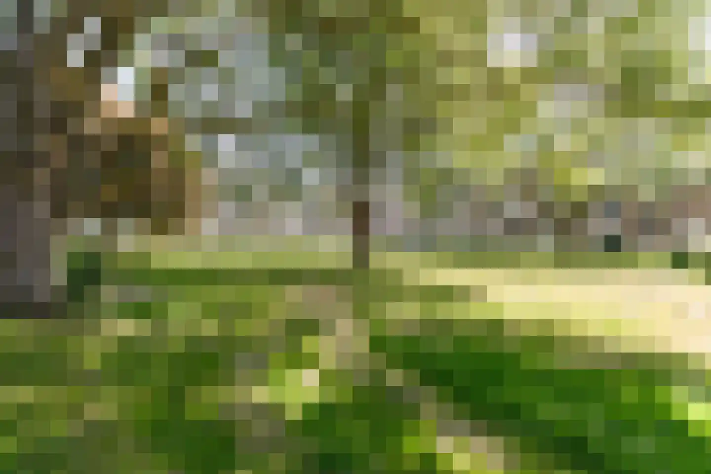 Schalkeroord 36 Rotterdam thumbnail 24