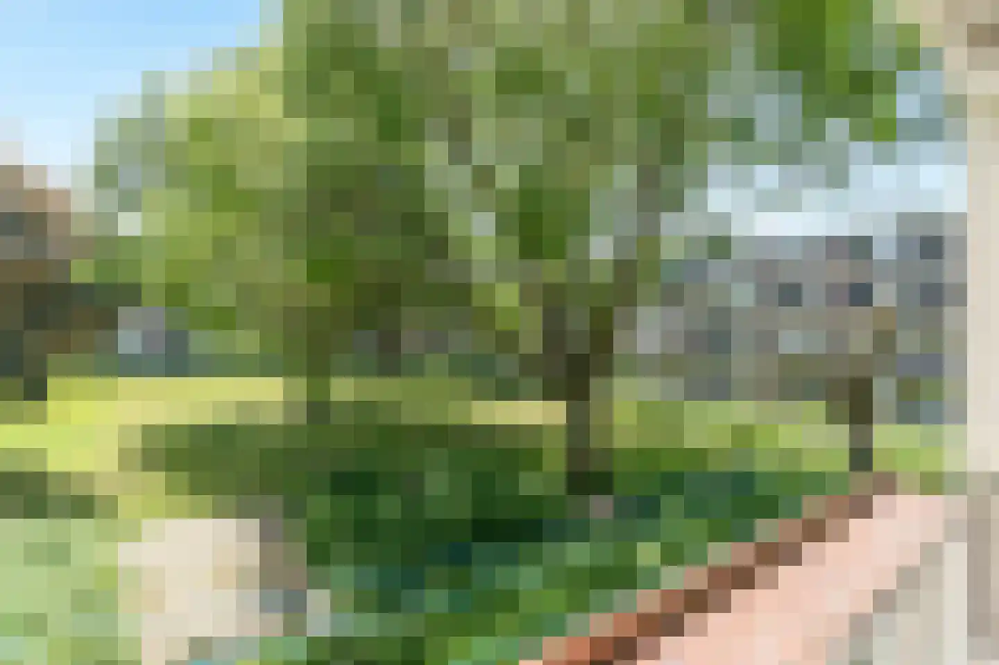 Schalkeroord 36 Rotterdam thumbnail 4