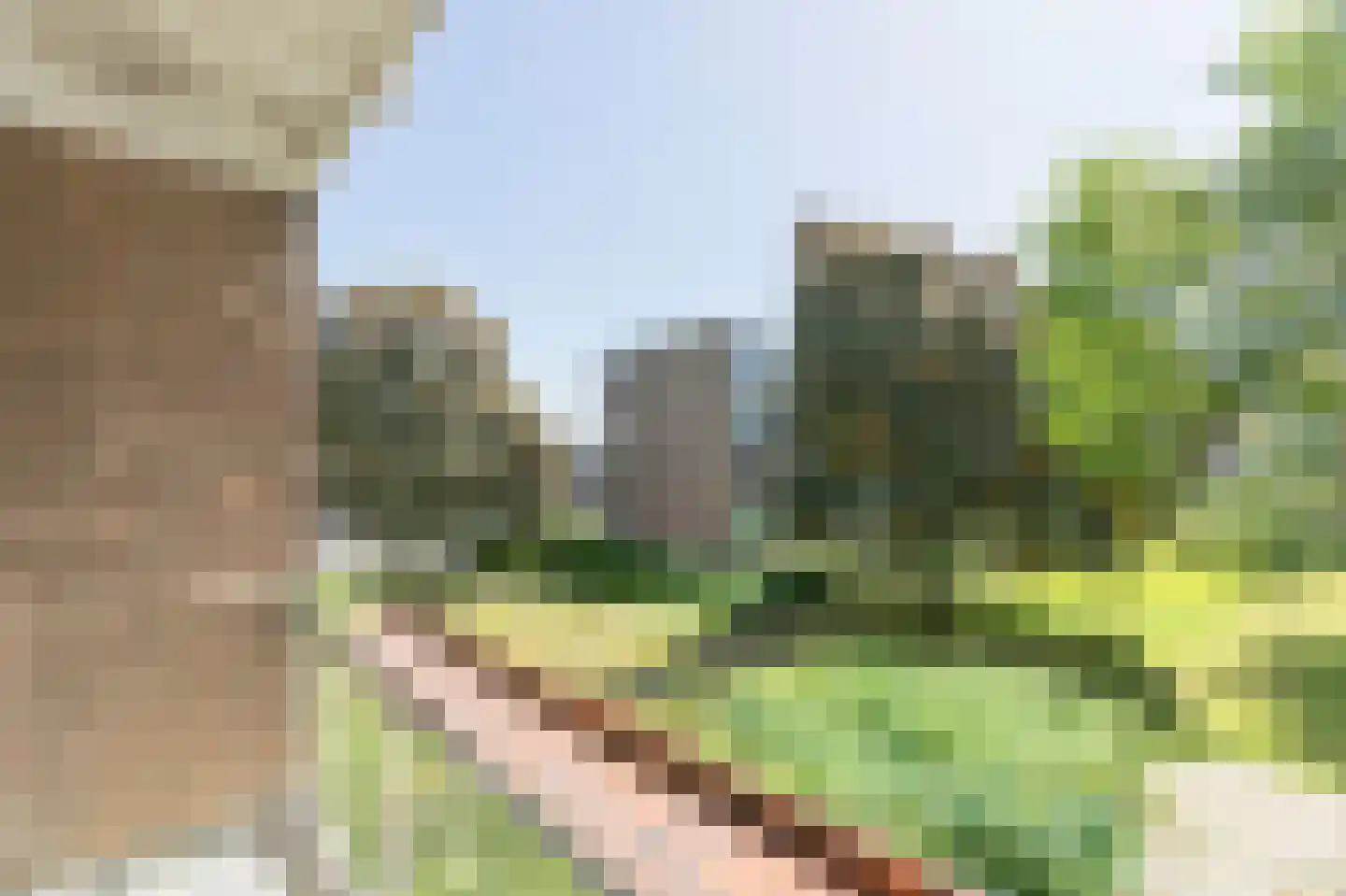 Schalkeroord 36 Rotterdam thumbnail 9