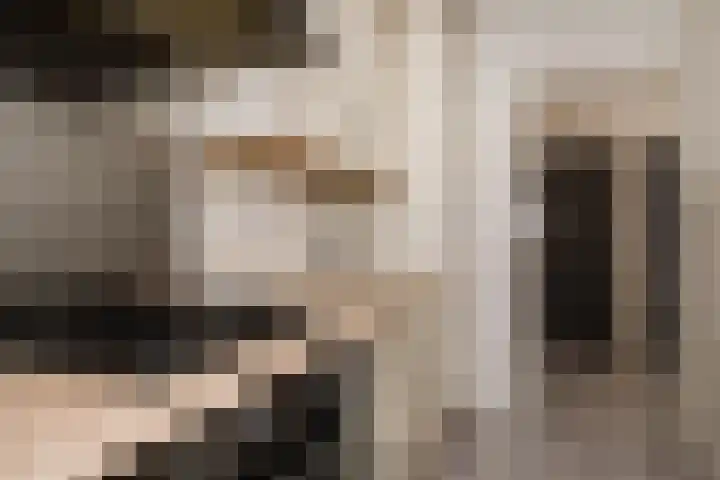Schalkeroord 48 Rotterdam thumbnail 14