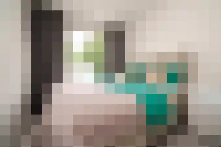 Schalkeroord 48 Rotterdam thumbnail 15
