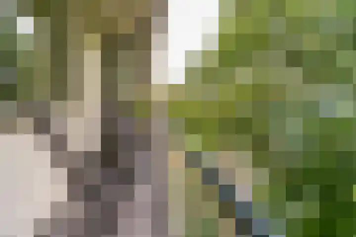 Schalkeroord 48 Rotterdam thumbnail 22