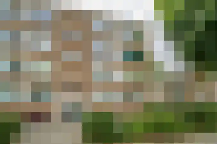 Schalkeroord 48 Rotterdam thumbnail 24
