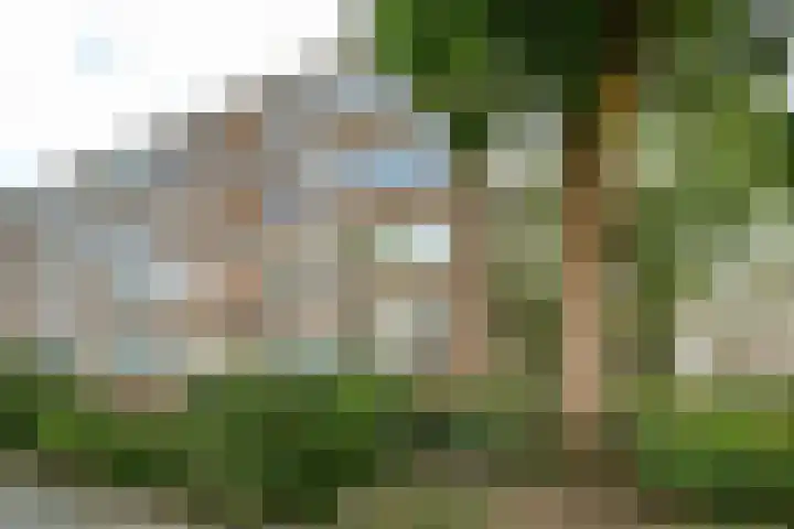 Schalkeroord 48 Rotterdam thumbnail 5