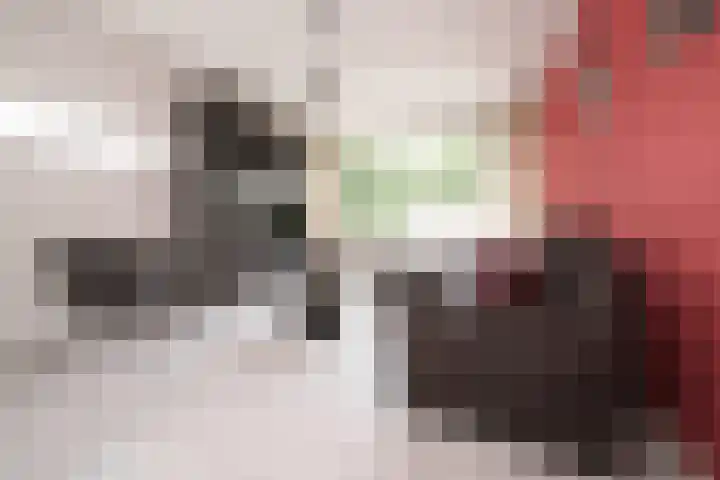 Schalkeroord 48 Rotterdam thumbnail 6