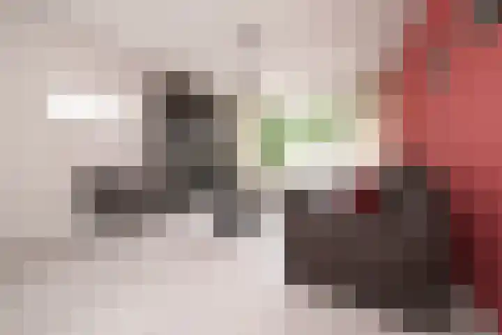 Schalkeroord 48 Rotterdam thumbnail 7