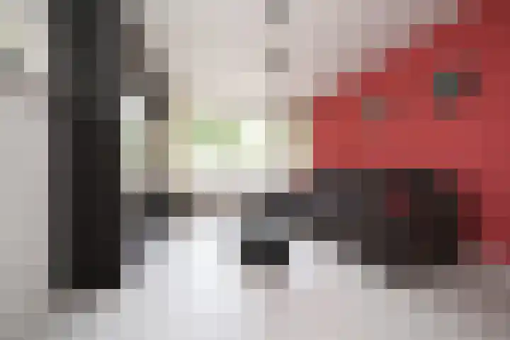 Schalkeroord 48 Rotterdam thumbnail 8