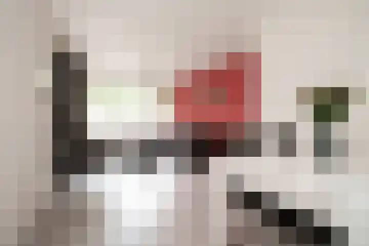 Schalkeroord 48 Rotterdam thumbnail 9